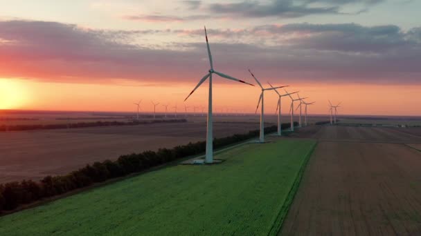 Vindmøllepark gård aften landskab. Produktion af vedvarende energi. Luftfoto af vindmøller gård park. Store vindmøller med knive i marken. vindmøllepark slow motion drone. Alternativ energi – Stock-video