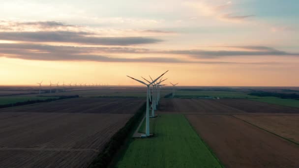 風力タービンファームの夜の風景 再生可能エネルギー生産 風車ファームパークの空中ビュー フィールドにブレードを持つ大規模な風力タービン 風力発電所のスローモーションドローン 代替エネルギー — ストック動画