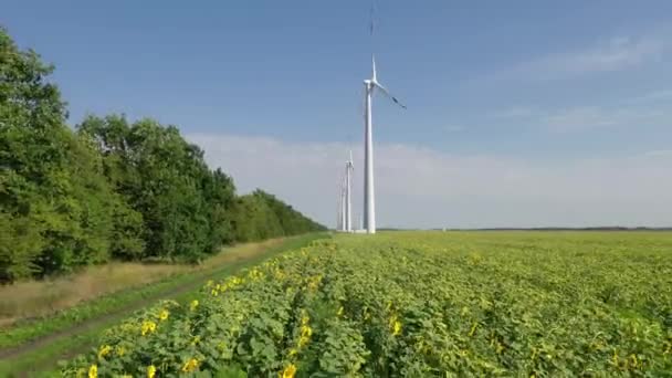 Elektrik Üreten Rüzgar Türbinleri Rüzgâr Değirmeni Güç Teknolojisi Hava Aracı — Stok video