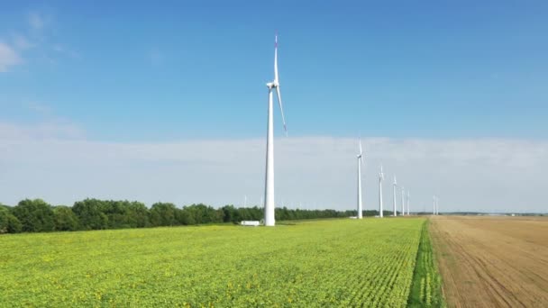 Вітроенергетична Технологія Вітроенергетичний Дрон Вид Виробництво Енергії Вітрові Турбіни Стоять — стокове відео