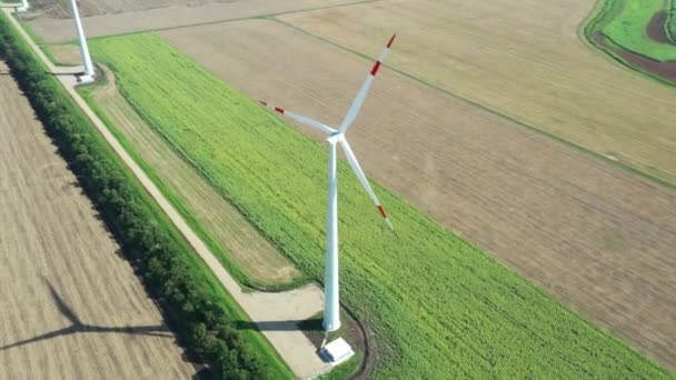 Des Éoliennes Qui Produisent Électricité Moulin Vent Technologie Éolienne Production — Video