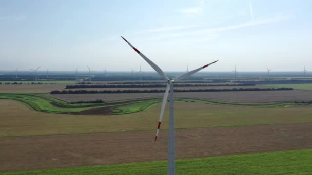 Windturbines Die Elektriciteit Produceren Windmolen Windmolentechnologie Luchtdronezicht Energieproductie Sluit Maar — Stockvideo