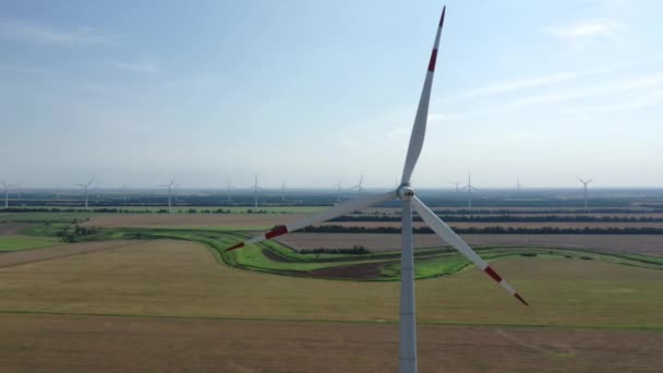 Produire Électricité Des Éoliennes Debout Sur Des Champs Fleurs Ferme — Video