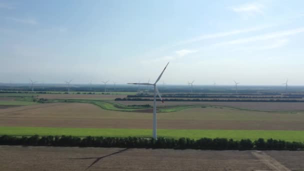 Turbine Eoliche Che Producono Elettricità Mulino Vento Tecnologia Eolica Veduta — Video Stock