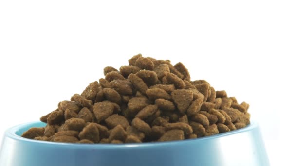 Aliments secs pour animaux de compagnie Pile de granulés de chat ou de chien sur fond blanc — Video
