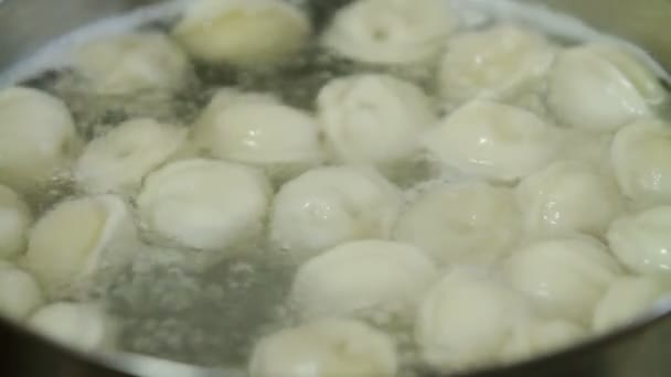 Meat dumplings in boiling water in a pan — Stock Footage Meat dumplings in boiling water in a pan Royalty Free Stock Video