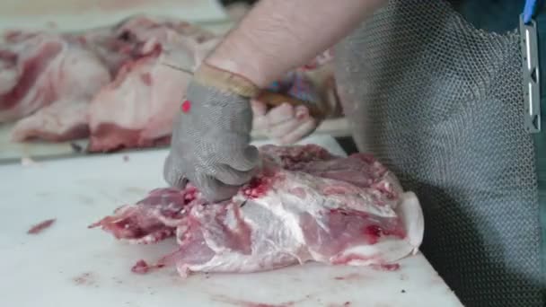 М'ясорубка м'ясо свинини на м'ясному заводі Свіжі сирі свинини на м'ясному заводі — стокове відео