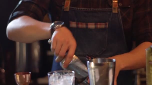 El camarero preparan el coctel alcohólico en el bar moderno. Añadir hielo en la botella temblorosa — Vídeo de stock