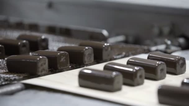 Production line for the production of chocolates. Candy covered with chocolate. Sweets move along the conveyor — Stock Video