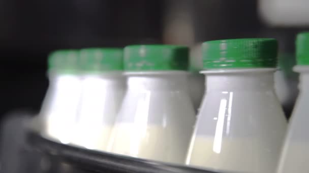 Plastikflaschen mit Milch, die auf einer automatisierten Produktionslinie transportiert werden. Nahaufnahme — Stockvideo