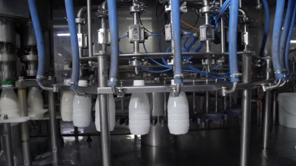 Productos lácteos vertiendo en botellas de plástico en la fábrica de alimentos — Vídeos de Stock