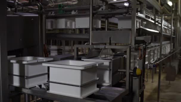 Mjölk tillverkning fabrik process. Ost beläggning i stålfall med hål före pressande av kvadratisk ostmassa. — Stockvideo