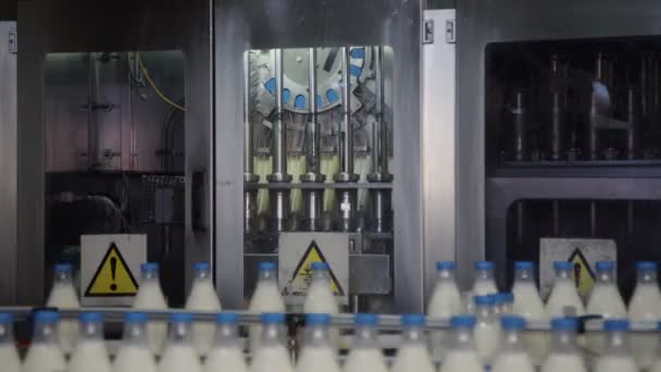 Conditionnement des bouteilles de lait sur la ligne de convoyeur. Usine de production laitière. Ligne d’emballage de lait — Video