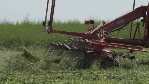 Moissonneuse-batteuse agricole se déplaçant sur le terrain agricole pour la récolte des terres. Machines agricoles sur le terrain de récolte — Video
