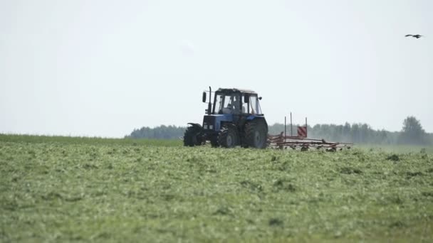 Campo de cosecha de tractores. Agricultura producción de alimentos, concepto de cosecha — Vídeo de stock