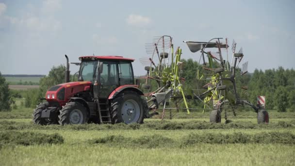 Zemědělský traktor na zemědělské půdě pro sklizeň. Oblast chovu zemědělských traktorů — Stock video