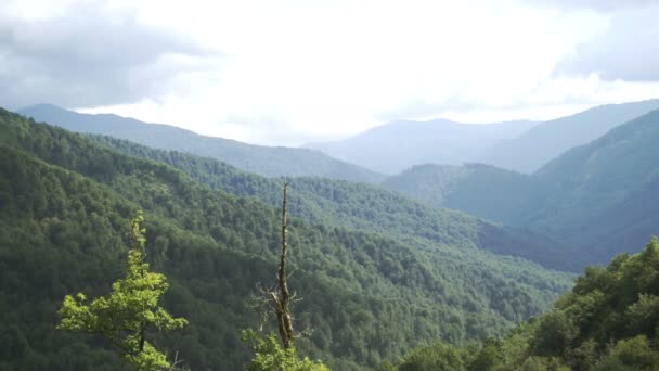 Hermoso panorama de verdes montañas alpinas y nubes blancas flotando por el día de verano — Vídeos de Stock