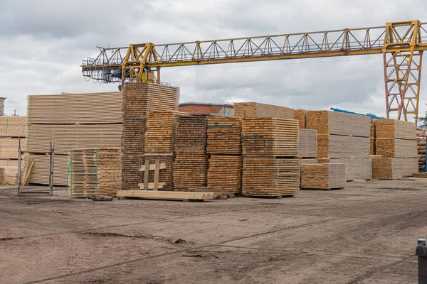 Wood factory stock and lumber board with nature business export. Stacks of lumber wood in timber log storage. Wood processing joinery work wooden furniture. Wood timber construction material.