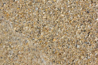 Deniz kabuğu kumu kısmen deniz suyuyla doludur.