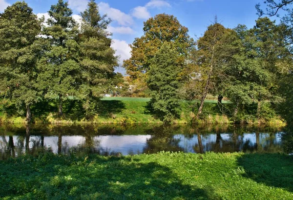 Baumgruppe Fluss Mit Rasen Vordergrund — Stockfoto