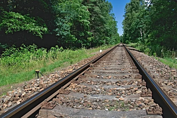 Rails Het Bos Het Gras Convergeren Verte — Stockfoto