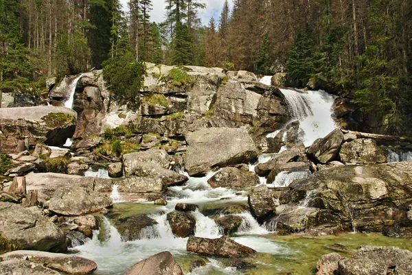 Ruisseau Qui Coule Travers Une Forêt Montagne Avec Nombreuses Pierres — Photo