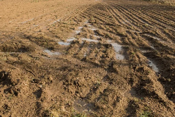 Islak bir alandan sonra güneş ışınları bir pulluk