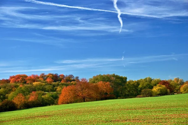 Zicht Kleurrijke Landschap Met Weide Herfst Bos Onder Blauwe Hemel — Stockfoto