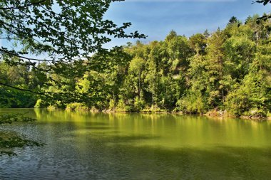 Lake forest mavi gökyüzü altında arasında