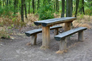 Bir yer ve turistler için bir oturma ile orman