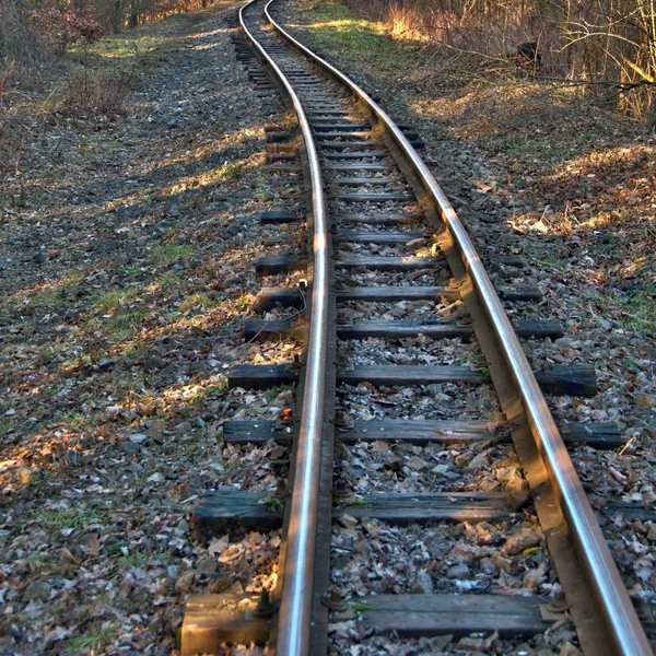 Ferrocarril de vía estrecha — Foto de Stock