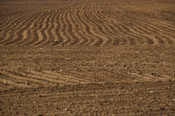 İlkbaharda kahverengi sürülmüş tarla