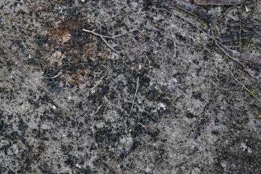 Şöminenin altında ateşten küller