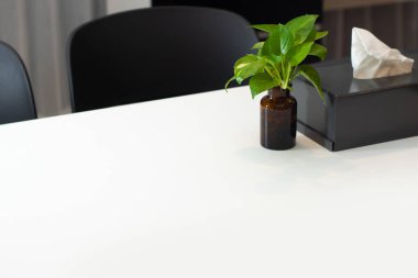 akşam yemeği beyaz masa sandalye ve vazo iç tasarım ile ağaç yaprak Oda