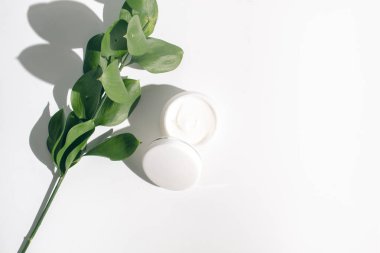 beyaz arka plan üzerinde yeşil organik doğa yaprak bitkisel özü kavramı ile gün krem kozmetik mockup