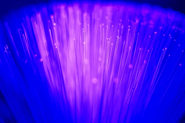 Fiber Optic Light Voor Technologie Gegevensverbinding Maken Met Internet Netwerk — Stockfoto