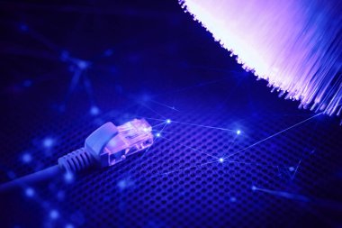 Dijital internet iş ağı için LAN WiFi kablo tel ile fiber optik