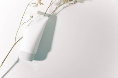 ağaç dalı çiçek bitkisel doğal, yüz köpük, güneş kremi, vücut losyonu, beyazlatma kremi, güzellik spa makyaj moda ve kozmetik, tüp ürün paketi mockup konteyner