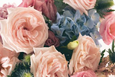 vintage aromatik gül çiçeği ve doğal yaprak yakın