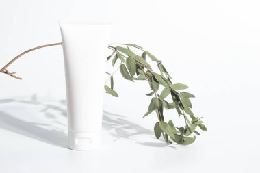 güzellik spa tedavisi ve ağaç yaprağı dalı kurutulmuş kozmetik mockup krem şişe pakage