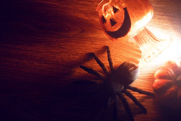 spooky halloween holiday season greeting party with pumpkin lamp lantern on the night with big spider