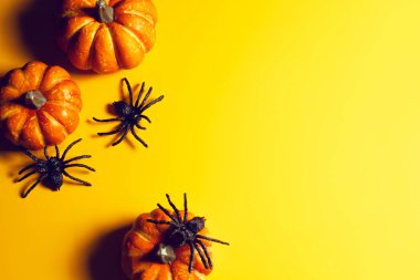 cadılar bayramı kabak tatil sezonu tebrik gece kutlama partisi üst görünümünde oyuncak pervane dekorasyon ile korku ürkütücü komik hayalet flatlay ve hile veya festival konsepti tedavi