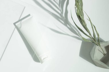 Taze güzellik kaplıcası tıbbi cilt bakımı ve kozmetik krem yüz tüpü beyaz dekor arka planında ambalaj ürünü yaz mevsimi güneşi ışığı