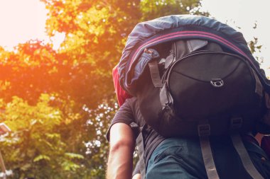 Orman manzaralı uçurumda yürüyen bir adam, macera turizmi, sırt çantalı bir tatil, dağlara yolculuk.