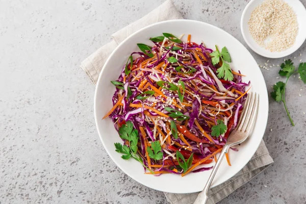 Kırmızı Lahana Havuç Dolmalık Biber Cole Yavaş Salatası Sağlıklı Vegan — Stok fotoğraf