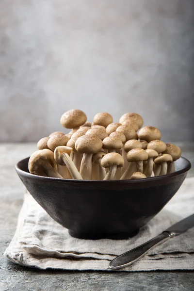 Cogumelos Shimeji Castanhos Frescos Foco Seletivo — Fotografia de Stock