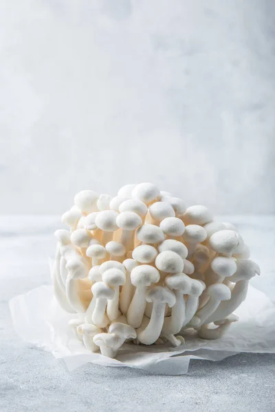 Cogumelos Shimeji Brancos Frescos Foco Seletivo — Fotografia de Stock