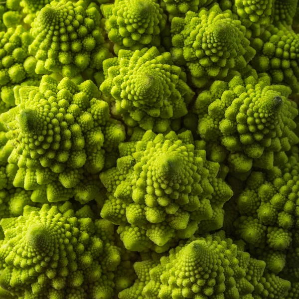 Taze Romanesco Lahana Makro Seçici Odak Kare Görüntü — Stok fotoğraf