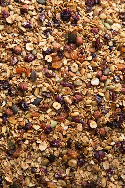 Yapımı Granola Fındık Kuru Üzüm Kurutulmuş Kızılcık Kabak Susam Ayçiçeği — Stok fotoğraf