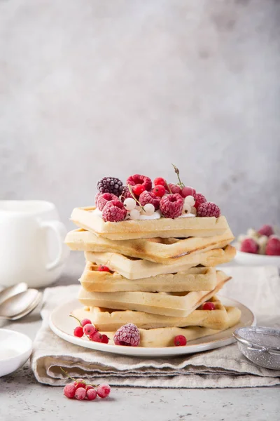 Gofres Con Bayas Para Desayuno Enfoque Selectivo —  Fotos de Stock